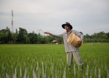 Kembangkan Inovasi Pangan, PTBA Usung Program Ramah Lingkungan