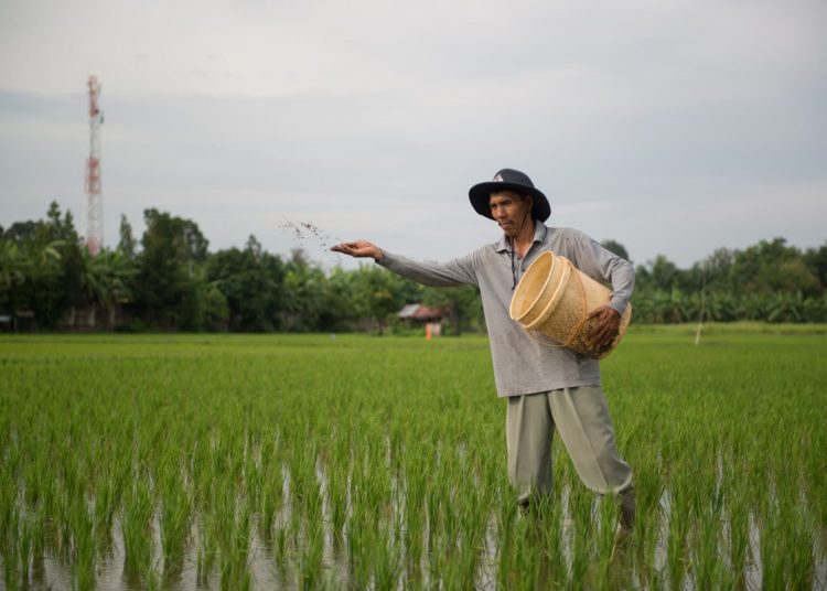 Kembangkan Inovasi Pangan, PTBA Usung Program Ramah Lingkungan