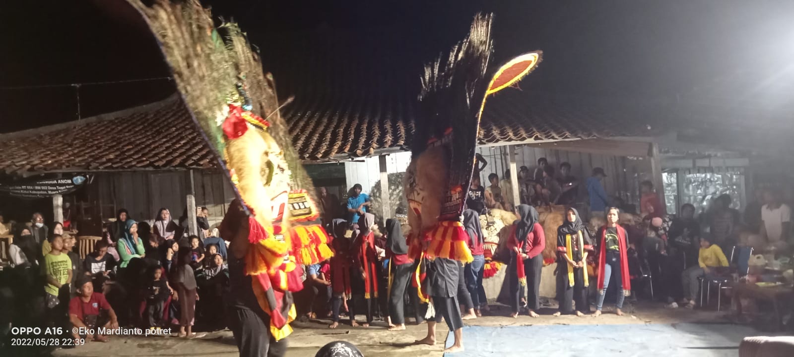 Menurut apa yang disampaikan Ketua paguyuban Reog Singo Mudho Bantar Angin Hendri S, paguyuban reog mini pujangga Anom dibina dari sanggar simuba desa Tegal Rejo dan ini merupakan budaya bangsa yang harus kita dilestarikan, anak-anak yang kita bina saat ini masih usia muda untuk regenerasi dan jumlah anggotanya lebih kurang 25 orang yang dipimpin Toni Andika