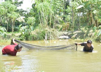 Berdayakan Masyarakat, PTBA Ubah Lahan Bekas Tambang Jadi Tambak Ikan