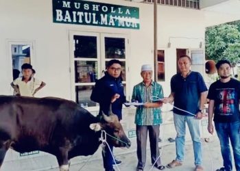 PT Bukit Asam Sumbang 1 Ekor Sapi Kurban ke Warga Desa Tanjung Jati