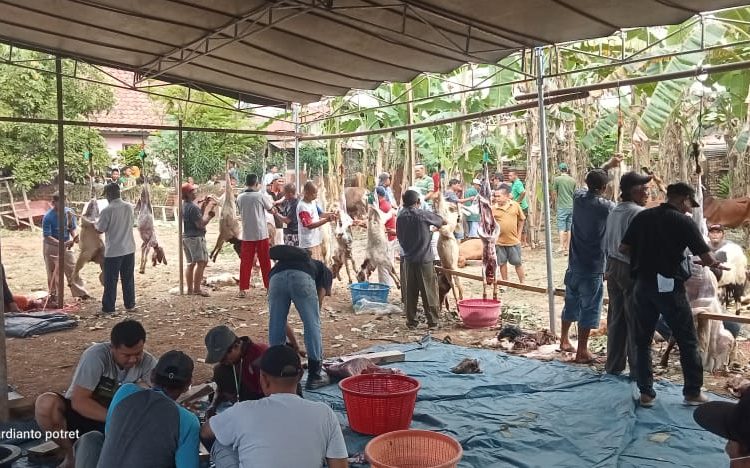 Idul Adha 1443 H,Masjid Al-Mujahiddin Karang Asam Laksanakan Pemotongan Hewan Kurban