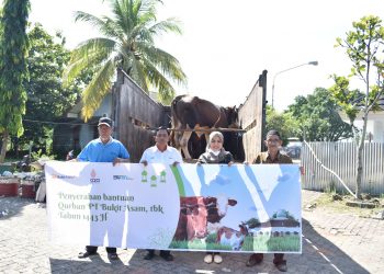 PTBA Salurkan 100 Ekor Sapi Qurban Bentuk Kepedulian Dan Untuk menyemarakkan Hari Raya Idul Adha 1443 H