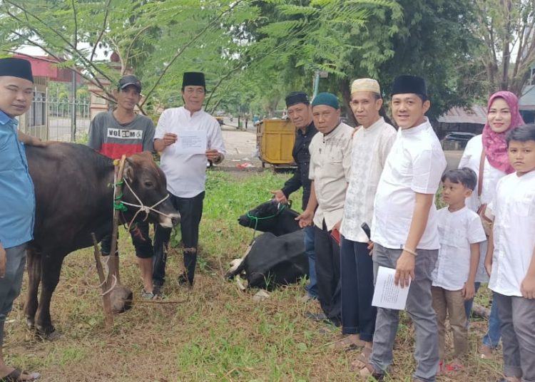 Rayakan Idul Adha 1443 H.DPC Projo Kabupaten Muara Enim Mengadakan Potong Hewan Qurban
