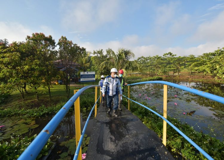 Bukit Asam Manfaatkan Akar Wangi Untuk Bersihkan Air Asam Tambang