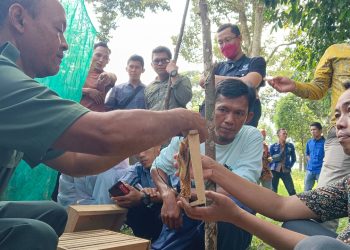 PTBA Dan BKSDA Sumsel Dorong Budidaya Lebah di Desa Embawang