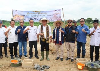 Bukit Asam Bangun PLTS Irigasi Untuk 150 Hektar Sawah di Lampung Tengah
