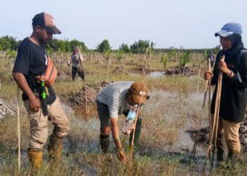 Jaga Lingkungan, PTBA Rehabilitasi Daerah Aliran Sungai 5.197 Hektar