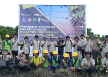 Kolaborasi PTBA Pemerintah Lestarikan Habitat Burung Dan Mangrove di Pulau Alanggantang