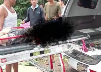 8 Orang Diduga Tewas Dalam Laka Dijalan Kawasan Segayam Patra Tani Gelumbang