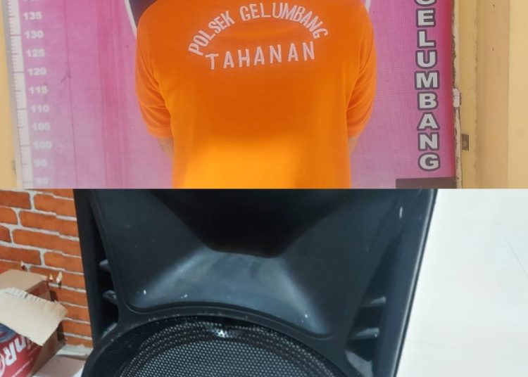 Maling 1 Unit Speaker Masjid di Segayam Gelumbang Pelaku Digelandang ke Polsek