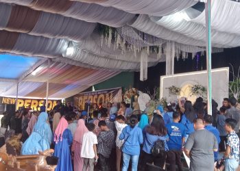 Sri Devi Goyang Tik Tok di Pelempang Kelekar Muara Enim