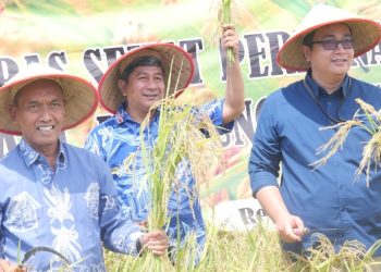 Dukungan Bukit Asam Untuk Wujudkan Pertanian Ramah Lingkungan
