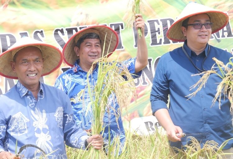 Dukungan Bukit Asam Untuk Wujudkan Pertanian Ramah Lingkungan