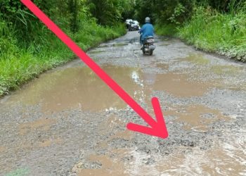 Jalan Perbatasan DesaTapus & Alai Selatan Kecamatan Lembak Muara Enim Hancur