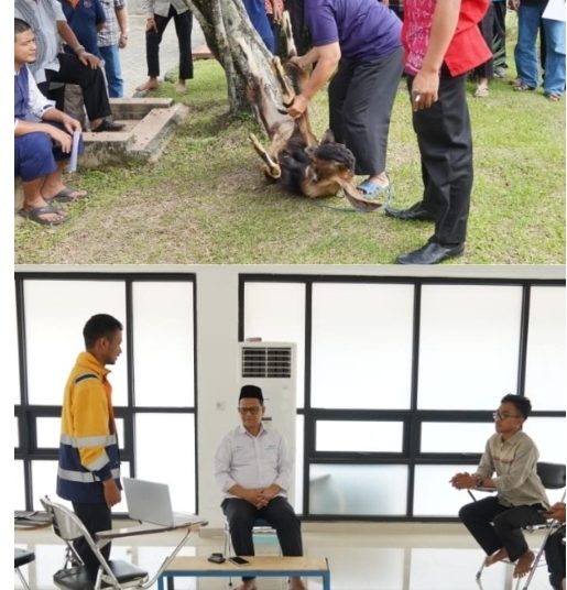 Sambut Idul Adha, PTBA Gelar Pelatihan Penyembelihan Hewan Kurban