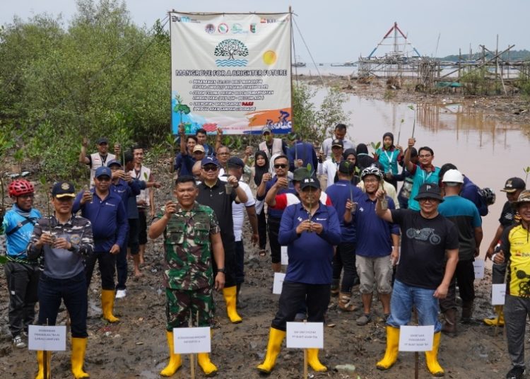 PTBA Tanam 50.000 Bibit Mangrove di Kawasan Ekowisata Cuku Nyi Nyi