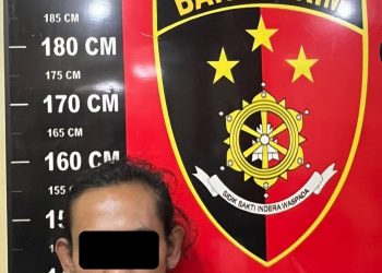 Maling Pipa Besi Milik Pemdes, Petugas PU Gadungan Ditangkap