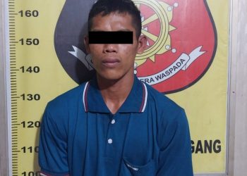 Bobol Gudang Warung, Ahmad Akbar Ditangkap Team Trabazz