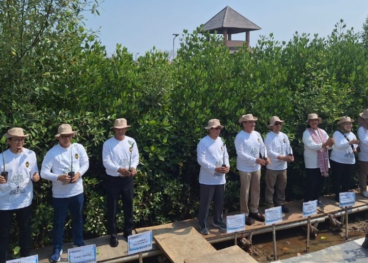 Kolaborasi Dengan Pemerintah.PT Bukit Asam Ikut Aksi Tanam Mangrove