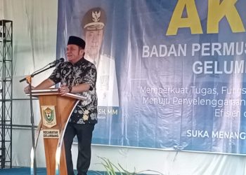 Tunjangan BPD Muara Enim Disetarakan Dengan Perangkat Desa