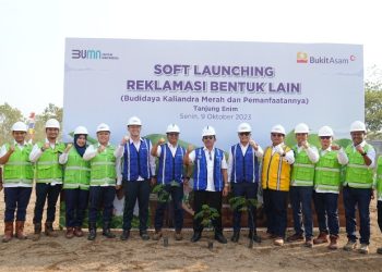 Bukit Asam (PTBA) Kembangkan Energi Biomassa dari Kaliandra Merah