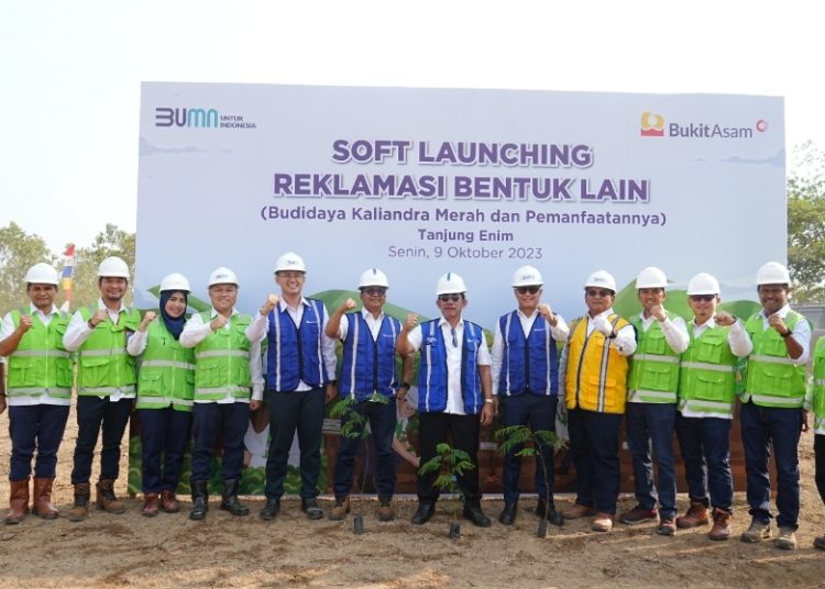 Bukit Asam (PTBA) Kembangkan Energi Biomassa dari Kaliandra Merah