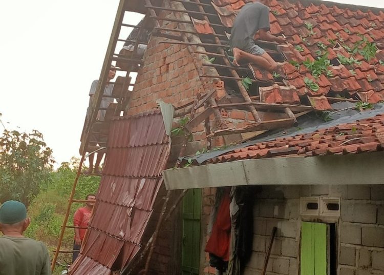 Pohon Tumbang Hancurkan 5 Rumah Warga , Plt Camat Gelumbang Turun & Salurkan Bantuan Dari Bupati