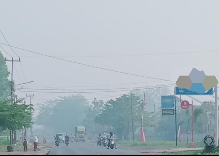 Kabut Asap Makin Tebal, Gelumbang Raya Kembali Dipenuhi Asap