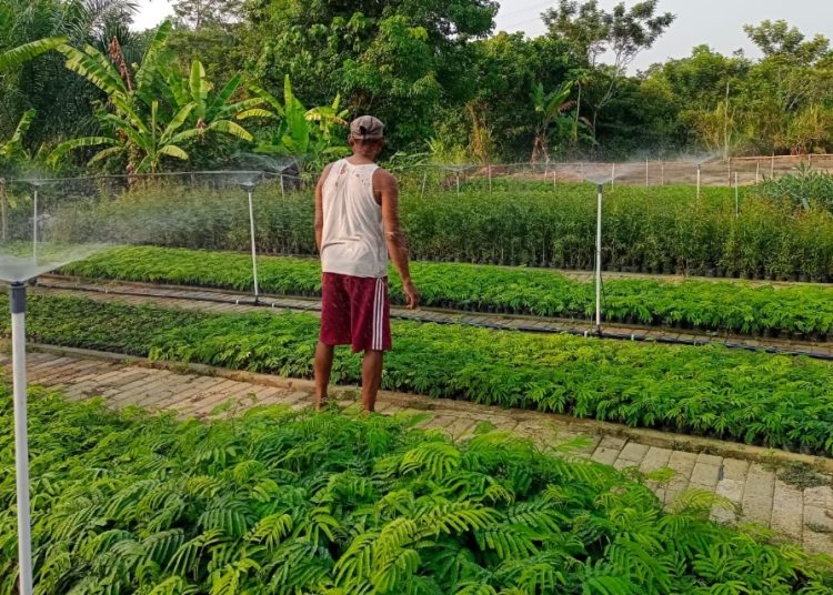 Kisah Sukses Zailani dan Bukit Asam Budidaya Tanaman Berbasis Otomasi