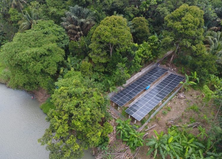 Ada PLTS Bukit Asam, Petani Tetap Garap Sawah Saat Kemarau Panjang
