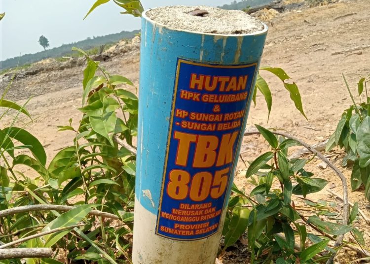 Tim Gakkum KLHK Dikabarkan Investigasi Lahan di Desa Gumai Diduga Tanpa Melibatkan Pelapor