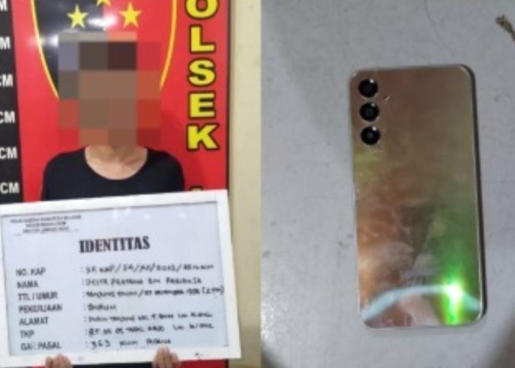Tengah Tertidur, Tim Lakid Amankan Pelaku Pencurian