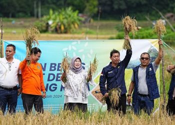 PLTS Irigasi Bukit Asam (PTBA) Dukung Pertanian Berkelanjutan