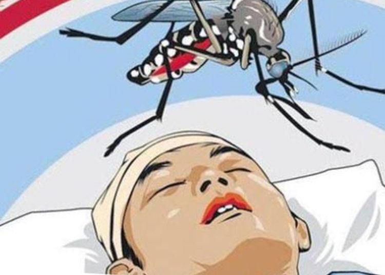Kasus DBD di Muara Enim Meningkat, Waspada Nyamuk Dengue Mulai Menyerang