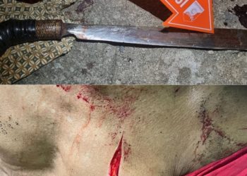 Gunakan Sajam, Adik Ipar Aniaya Kakak Ipar Diringkus Team Lebah Polsek Tanjung Agung