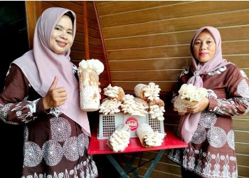 Bukit Asam (PTBA) Bantu Warga Desa Bangkitkan Usaha Jamur Tiram