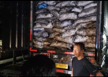 Razia Dan Penindakan Terhadap Angkutan Batubara Dilakukan