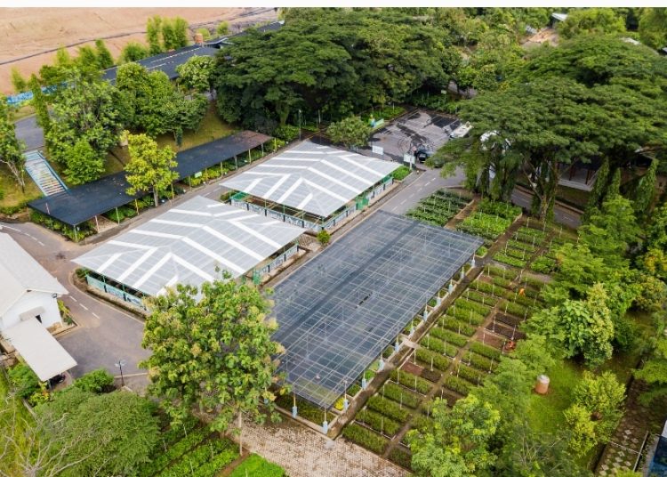 Bukit Asam (PTBA) Menuju Perusahaan Energi Kelas Dunia yang Peduli Lingkungan