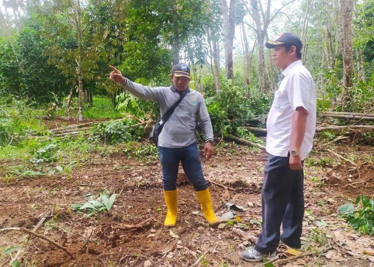 Kepala Desa Ujanmas Baru, Tinjau Proyek Pembukaan Jalan Baru