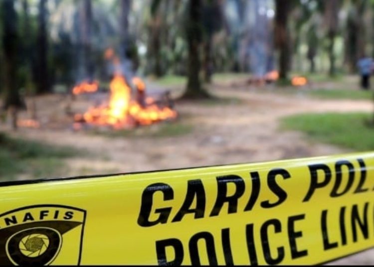Arena Judi Sabung Ayam di Muara Harapan Muara Enim Dibakar Petugas