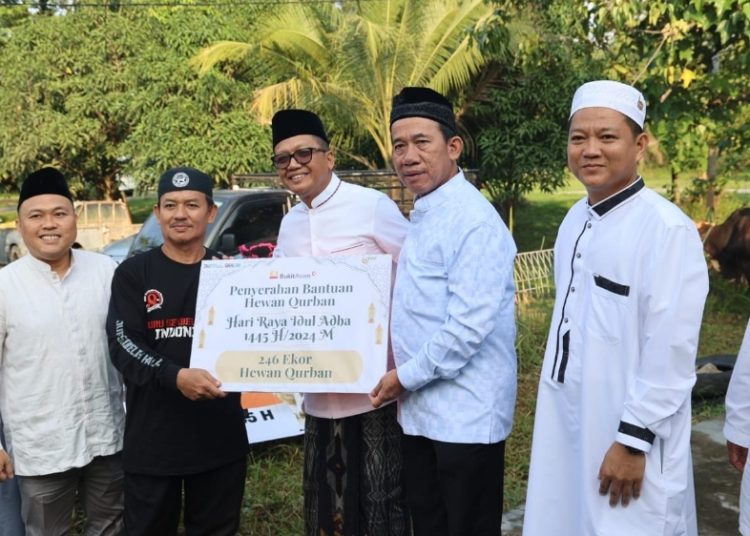 Idul Adha 1445 H, Bukit Asam (PTBA) Salurkan 196 Sapi dan 65 Kambing Kurban