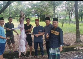 DPC ORGANDA Sembelih Hewan Kurban dan berbagi ke Anggota