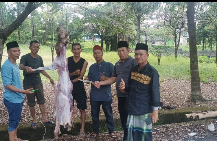 DPC ORGANDA Sembelih Hewan Kurban dan berbagi ke Anggota