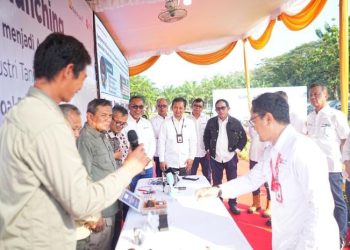 Pertama di Dunia, Bukit Asam dan BRIN Mulai Kembangkan Batu Bara untuk Bahan Baku Baterai Li-ion