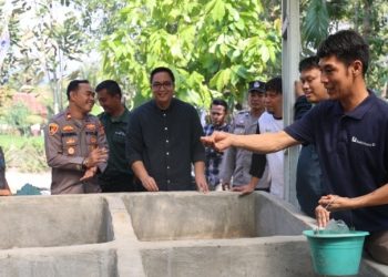 Perluas Lapangan Kerja, Bukit Asam (PTBA) Dorong Budidaya Ikan Gabus di Desa Tanjung Agung