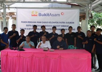 Ciptakan Peluang Usaha, Bukit Asam (PTBA) Gelar Pelatihan Budidaya Maggot