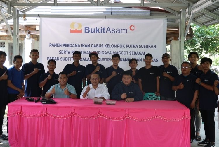 Ciptakan Peluang Usaha, Bukit Asam (PTBA) Gelar Pelatihan Budidaya Maggot