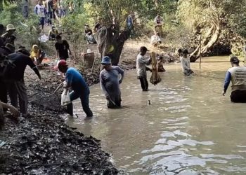 Ratusan Warga Desa Ulak Bandung Gelar Tradisi Nanggok Ikan Bersama